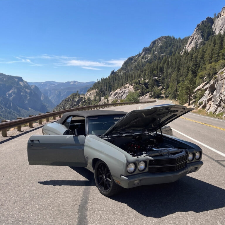 1970-Chevelle hood open engine view